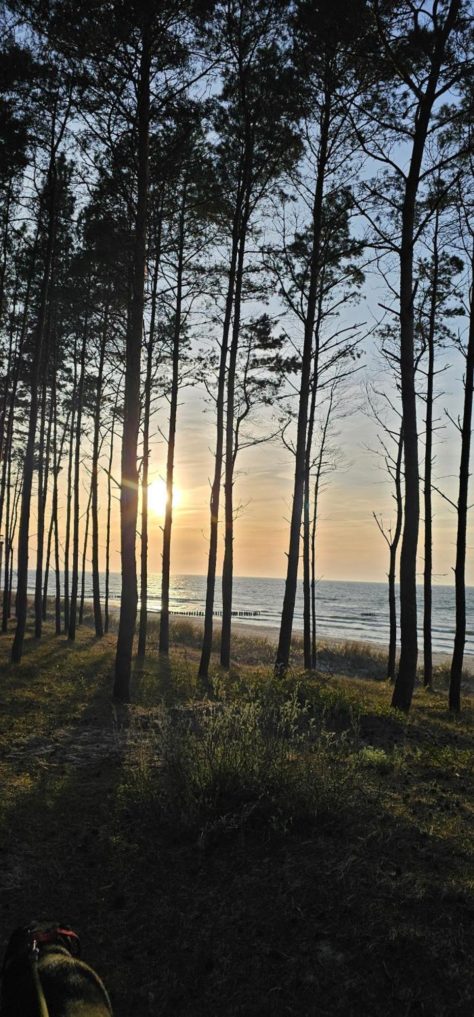 Luludomki Mielenko Bagian luar foto